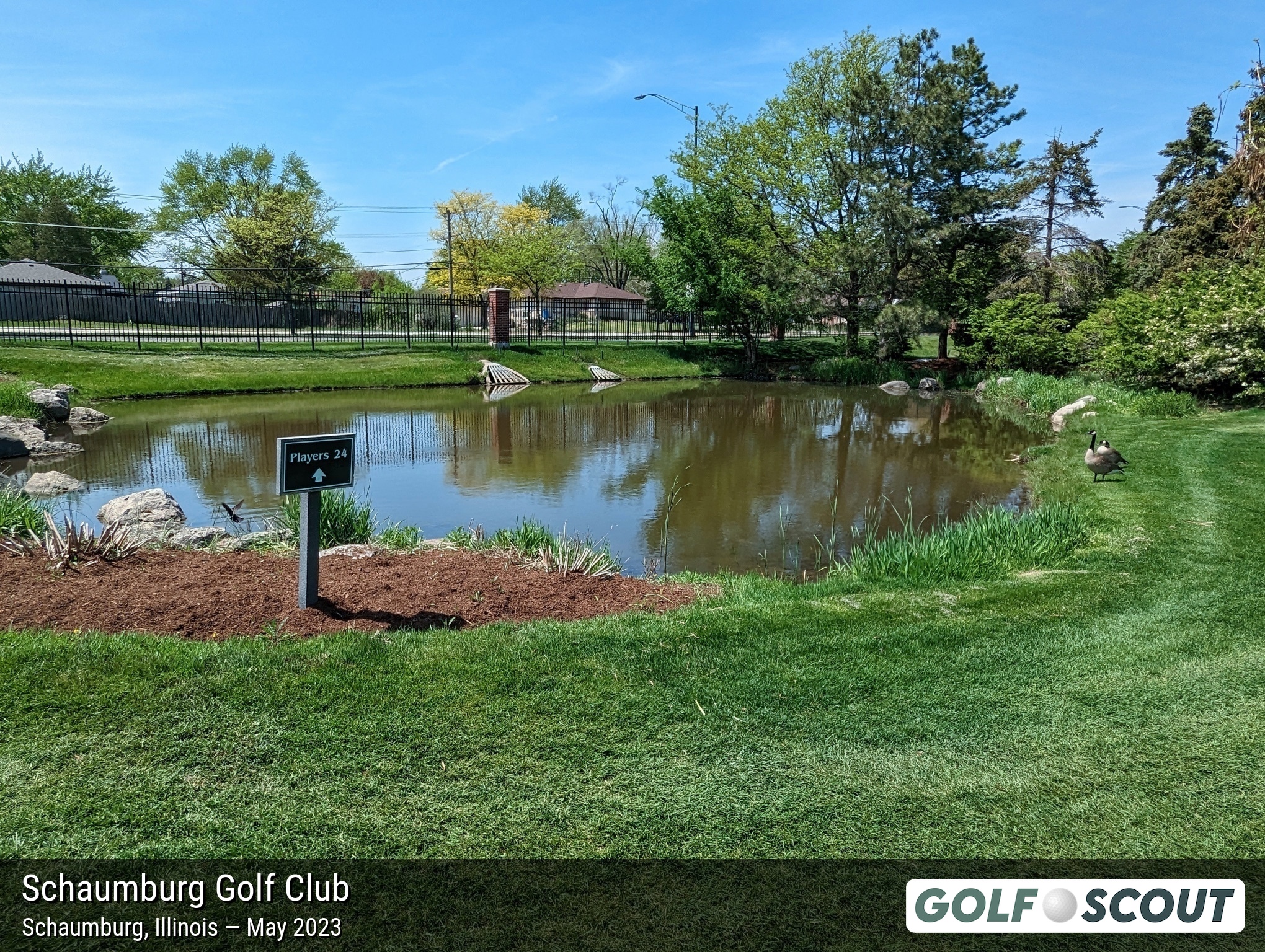 Schaumburg Golf Club - Baer Course: An in-depth look (103 photos)